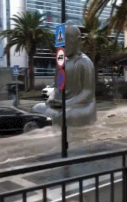 这一下|搞笑GIF:小家伙是软,折叠这一下最厉害