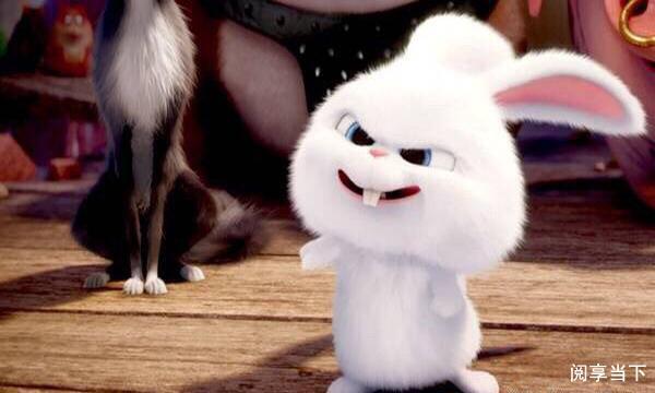 女人|很逗很搞笑的说说，但精辟富有哲理！（很值得一读）