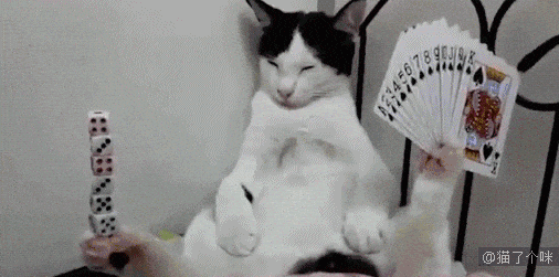 直言|女主人,把你玩具收好行不行啊啊啊