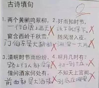 这位|搞笑的小学生答卷,看完笑趴在厕所了
