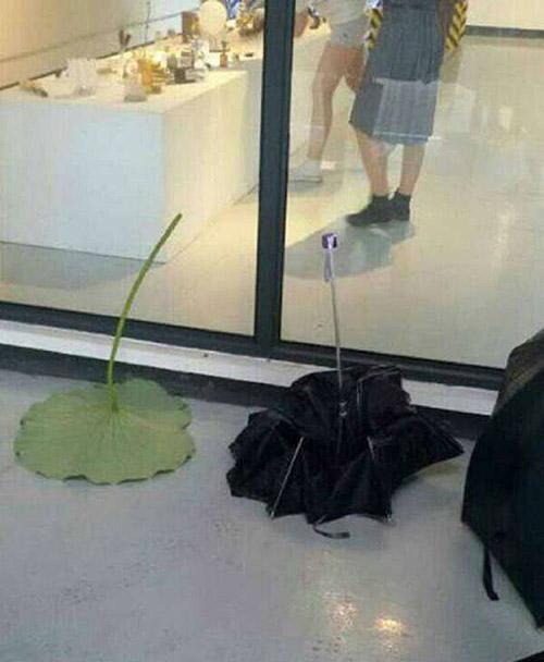 大象|颗颗搞笑段子：小样，看你出来不······