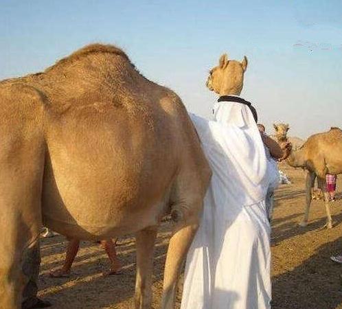 不要|搞笑GIF: 原来烫发是这么烫的, 我读书少你不要骗我