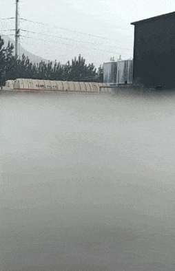 耙子|搞笑GIF图：目测腰间盘突出，调治仅需一日就好！