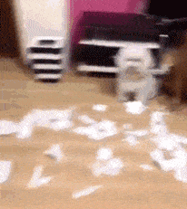 尼玛|这尼玛就是传说中的“丢脸”吧……