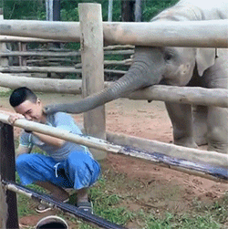 女朋友|搞笑GIF:睡觉带娃两不误,嘘,让我先眯一会儿