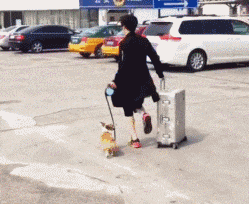 杯水|搞笑GIF: 别再向后退了,快来接住这杯水!