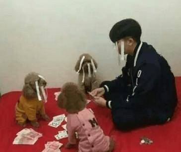 儿子|一个人能自娱自乐到这种地步也是个奇葩中的战斗机