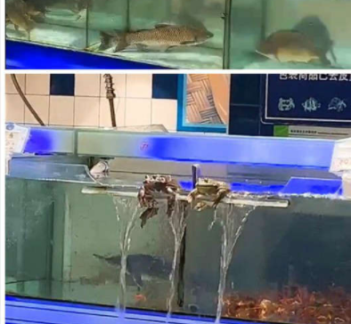 段子|搞笑gif：自从用了这个密码，再也不用担心老婆拿我手机了！