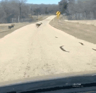 尼玛|每日笑到半疯的二十三张（NO0044）