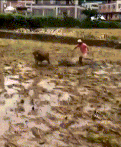 这是|搞笑GIF：还是外国人会玩，这是真的吗？