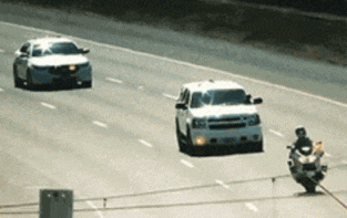 赵忠祥|搞笑GIF:囤了一块月饼!