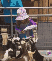 着急|GIF搞笑趣图:你们别着急啊!你怎么咬我啊!没吃的了!