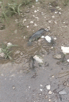 哥们|搞笑GIF:说好的彼此的信任呢