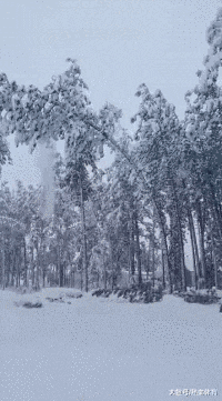 房车|搞笑GIF：大雪也照样能摧毁一切，不信仔细看