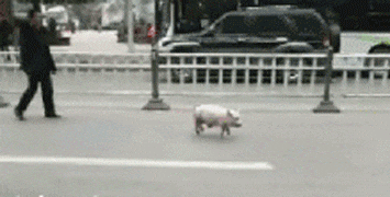 小伙子|搞笑GIF：小伙子，你这帽子是怎么到脚上的，说出你的故事