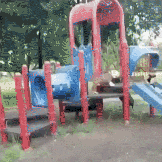 香玉|往往是不怜香惜玉的人最容易得到香玉（爆笑动态合集）