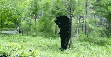 妹子|搞笑GIF趣图：兄台，你吃的这碗面，叫做黯然销魂面吧