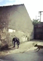 转角|搞笑GIF: 转角不一定会遇到爱, 也可以是男人最痛