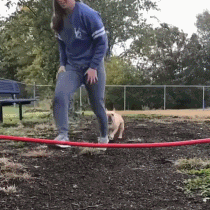 老板|搞笑gif趣图：大姐，下次不要这样玩了，摔在地上很痛的