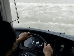 司仪|这是我见过最好看的布偶猫