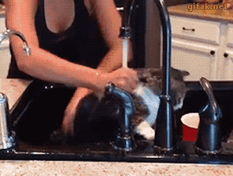 舞会|当一个女装大佬在舞会上丢了一只鞋后...