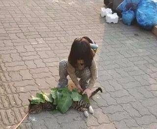 更胜一筹|搞笑GIF：盖好，别中暑了