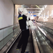 这是|搞笑GIF趣图：这是谁的注意啊？这也太不靠谱了