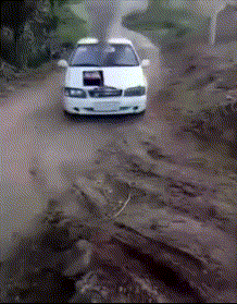 妹子|搞笑GIF趣图：台风确实好大哦，吹得摄影师拿不住机器