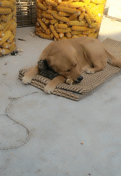 挺特|搞笑GIF：人竟然没事，太幸运了！拿就从来吧！