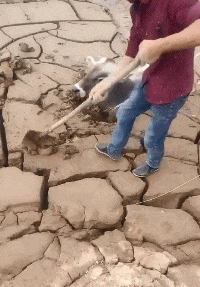 屈才|搞笑GIF趣图：这个技术牛大了，做理发师有点屈才了