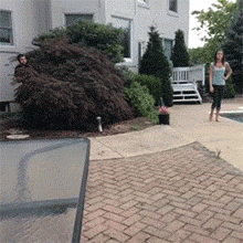 一刻|搞笑GIF:这告诉我们,不坚持到最后一刻你永远不知道会发生什么