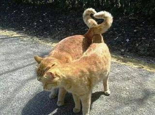 熟能生巧|搞笑GIF: 你还知道你做错了