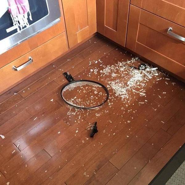 车轮子|弱弱地问一句，假如你遇到这些事，你会哭笑不得么？