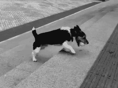 不好|搞笑GIF趣图:笨到如此可爱的女生,真的不好找呀!