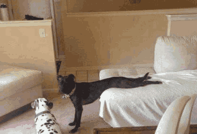 小张|为何生奶油这么受情侣欢迎? 原来还有这个作用!