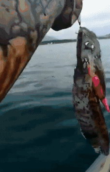 半条命|搞笑GIF:跟女朋友看了我新提的一辆车,为啥跟我分手啊