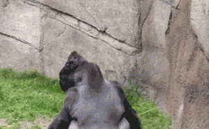 眼神|搞笑gif：?给你几个眼神还有笑容，自己体会