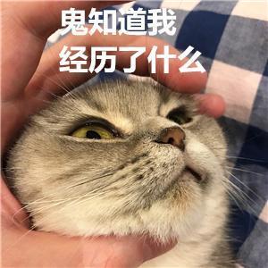 小姨子|搞笑内涵！岳父大人，你听我解释