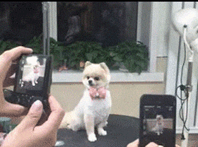 妹子|搞笑GIF趣图:真想娶个妹子,然后靠卖水果度过一生