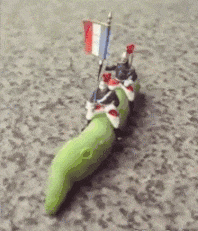 工资|搞笑gif：别拦着我，我要去给她们当老师，不要工资的！！