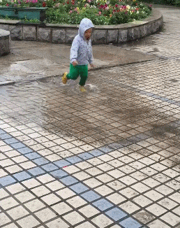 孩子|搞笑GIF:你不是要跑啊!继续啊!累死你!