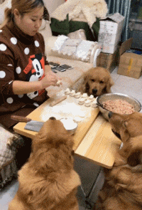 里地|搞笑GIF：爸妈才是真爱，我只是个小小的意外！