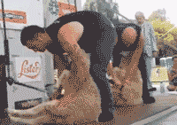 发家致富|搞笑GIF：这就是我的真爱，也是我的真重