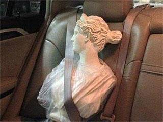 鸽子|搞笑gif: 此刻的鸽子感到很绝望！