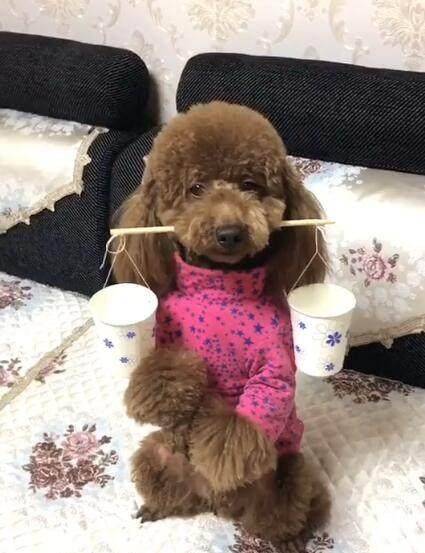 大师|搞笑GIF:大师,这是要给孩子开光吗?