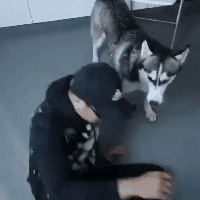 样子|GIF搞笑趣图：孩子，你怎么弄成这个样子了，我都看不下去了！