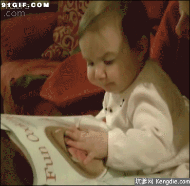 泰迪|搞笑gif，无聊时轻松一下吧