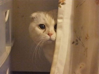 聊天记录|开心一刻:刚刚一个女推销员给我打电话,她说,你好先生……