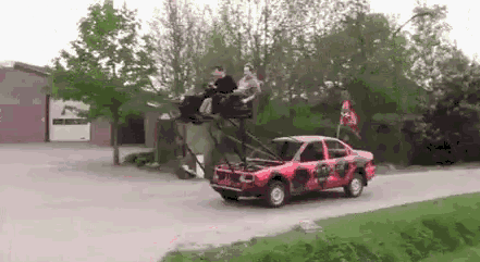 大雁|辣眼睛！这画面让我的眼好像暂时性失明了