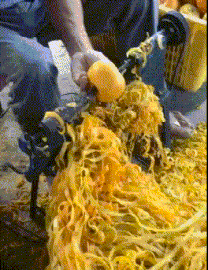 公鸡|搞笑GIF:每个男人都有爱心的